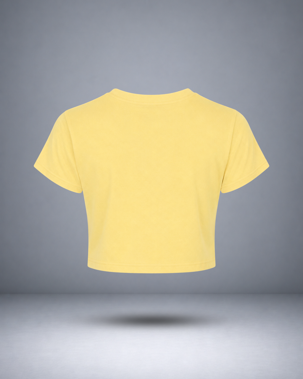Women's Beige Solid Crop Top